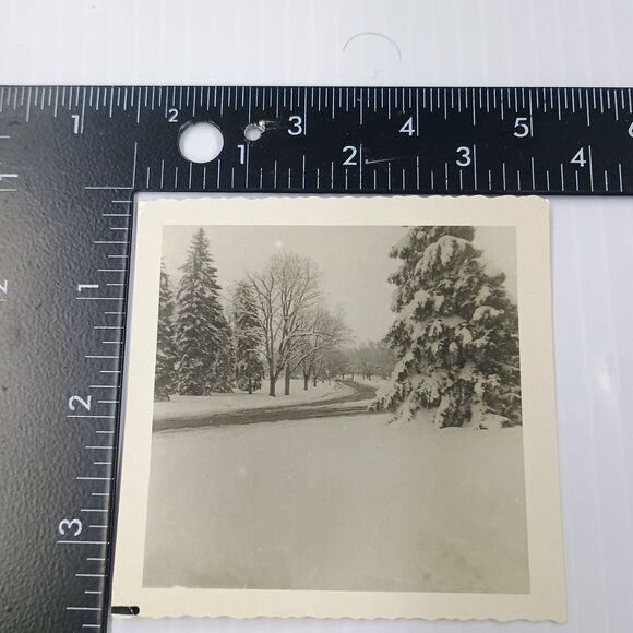 Other - Winter Snowy Landscape 1950s Snapshot Photograph Trees Road Americana